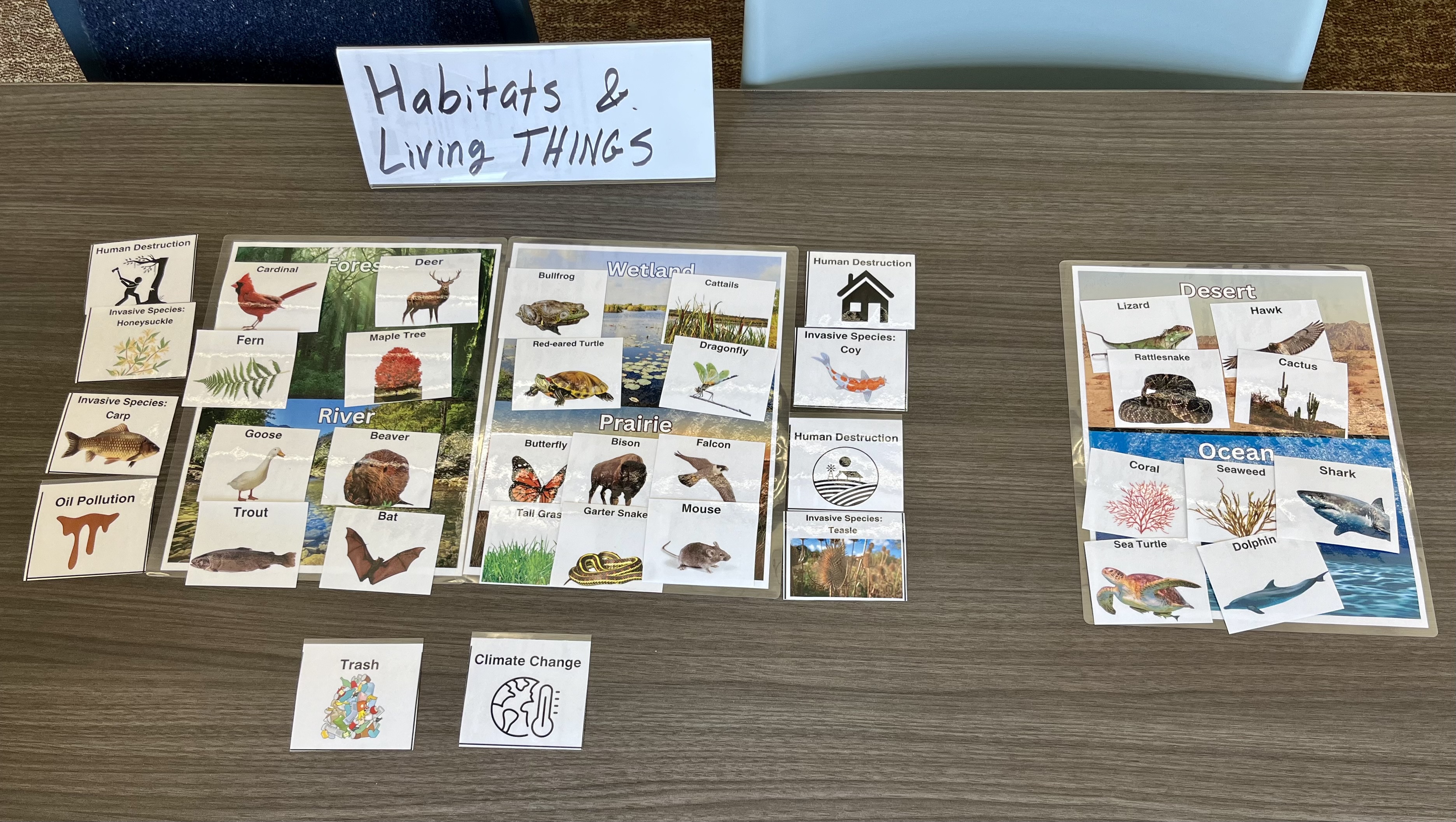 habitats and living things sorting game