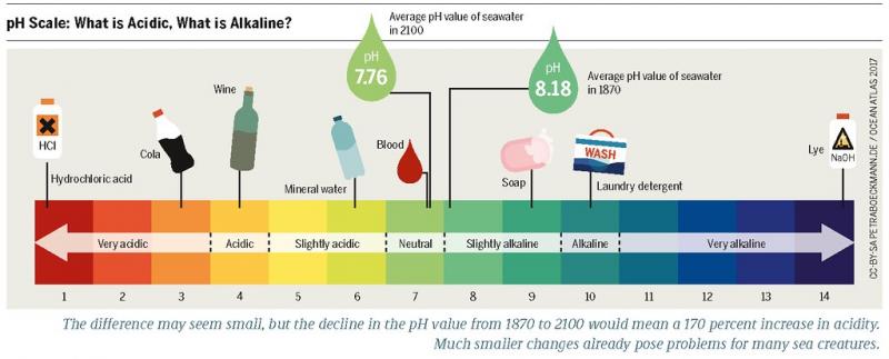 Diagram of a pH scale