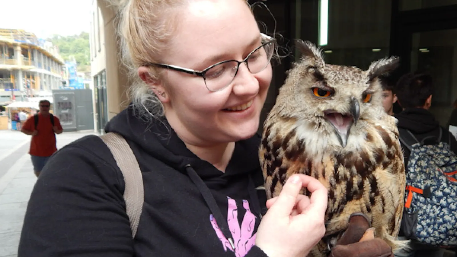 Photograph of Rebecca glove-training a Great Horned Owl