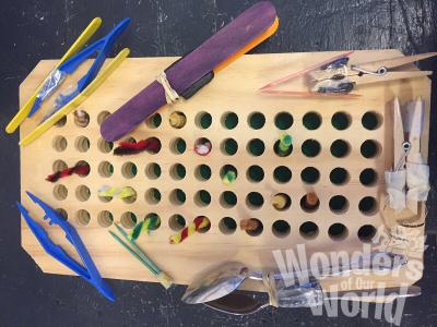 Photograph of experiment supplies: different beaks and pipe cleaners in a wood piece with holes to imitate insects in a tree cavity