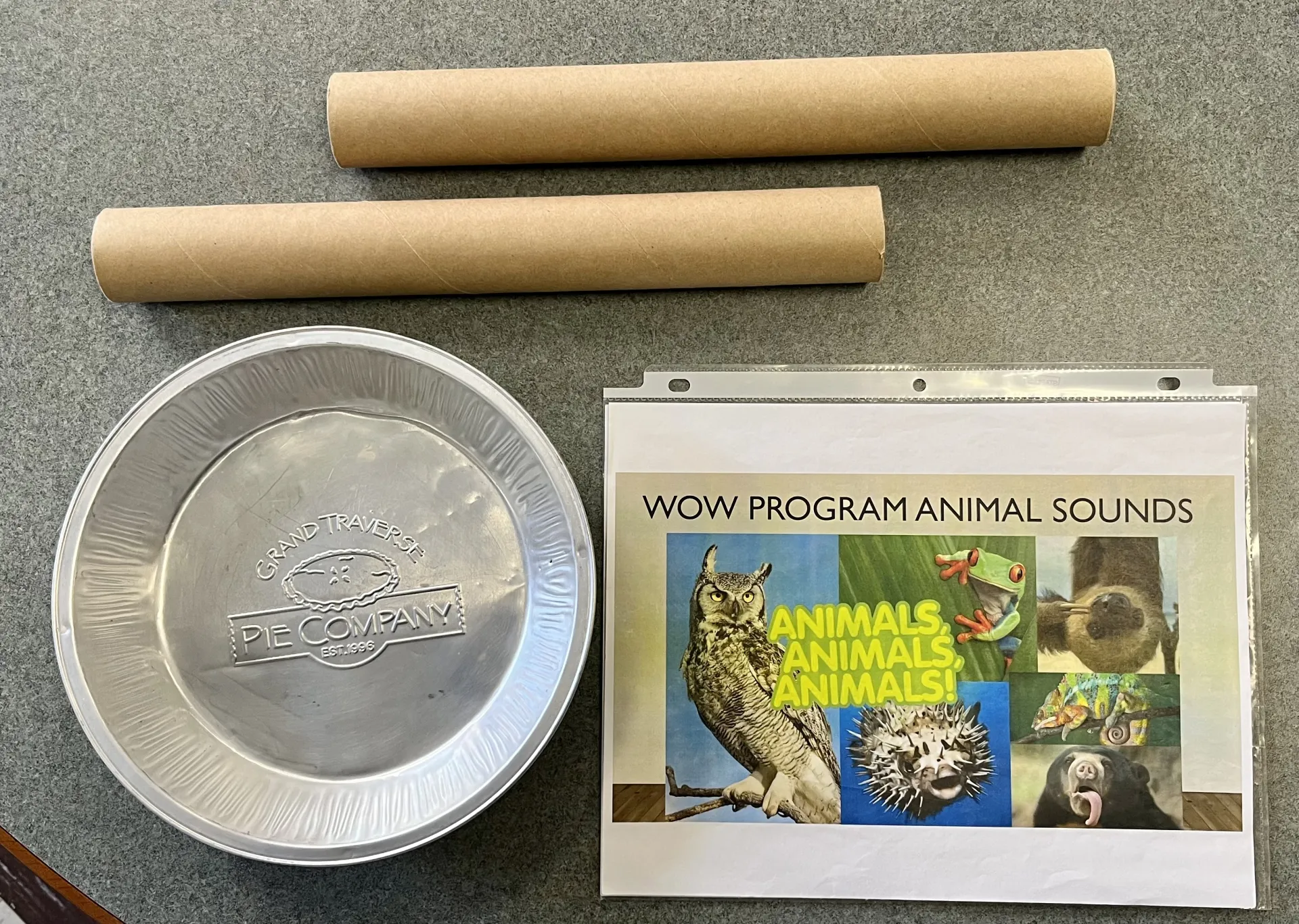 Animal Sounds Sound Experiment