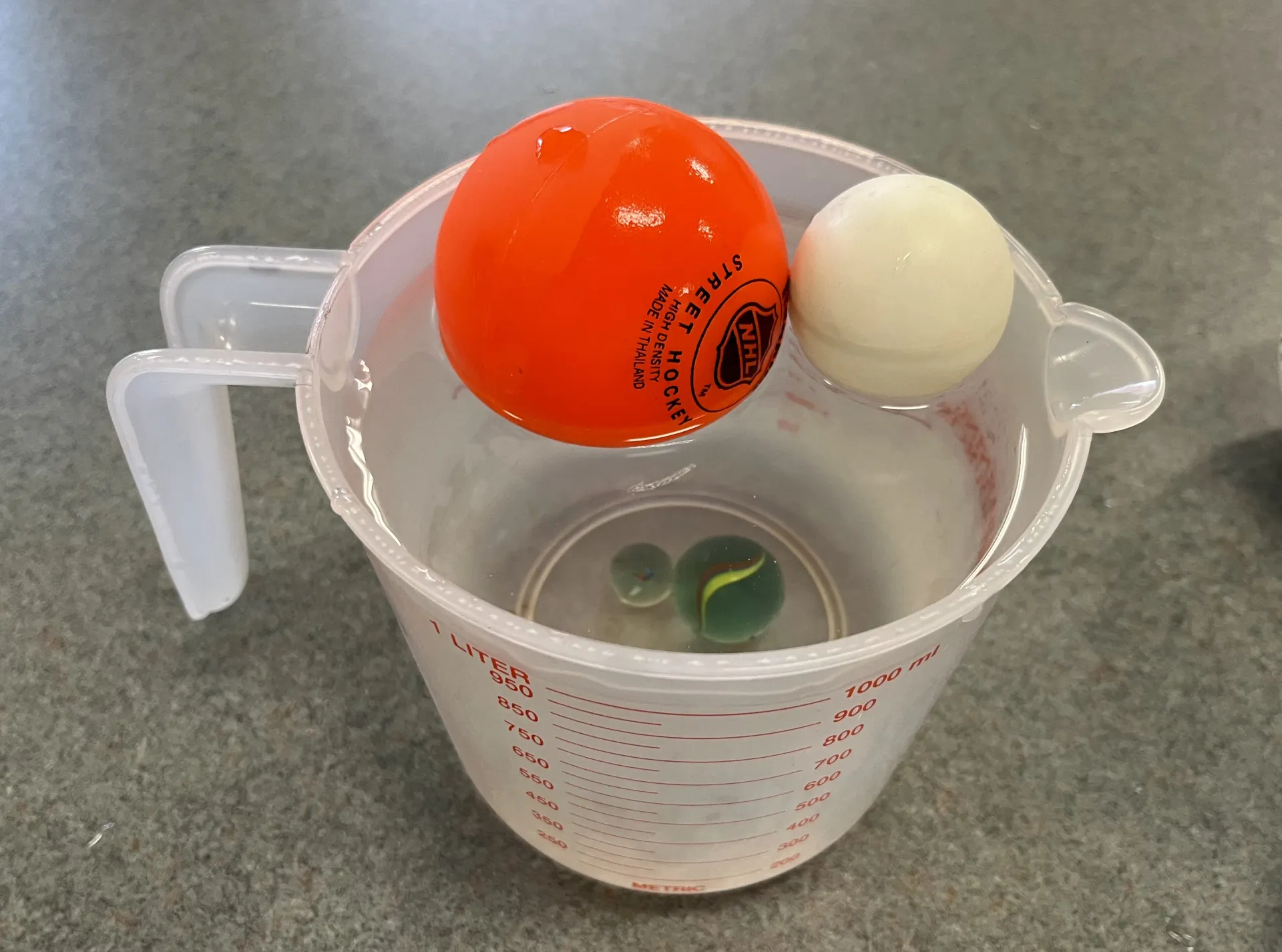 Sink or Float Physics Experiment