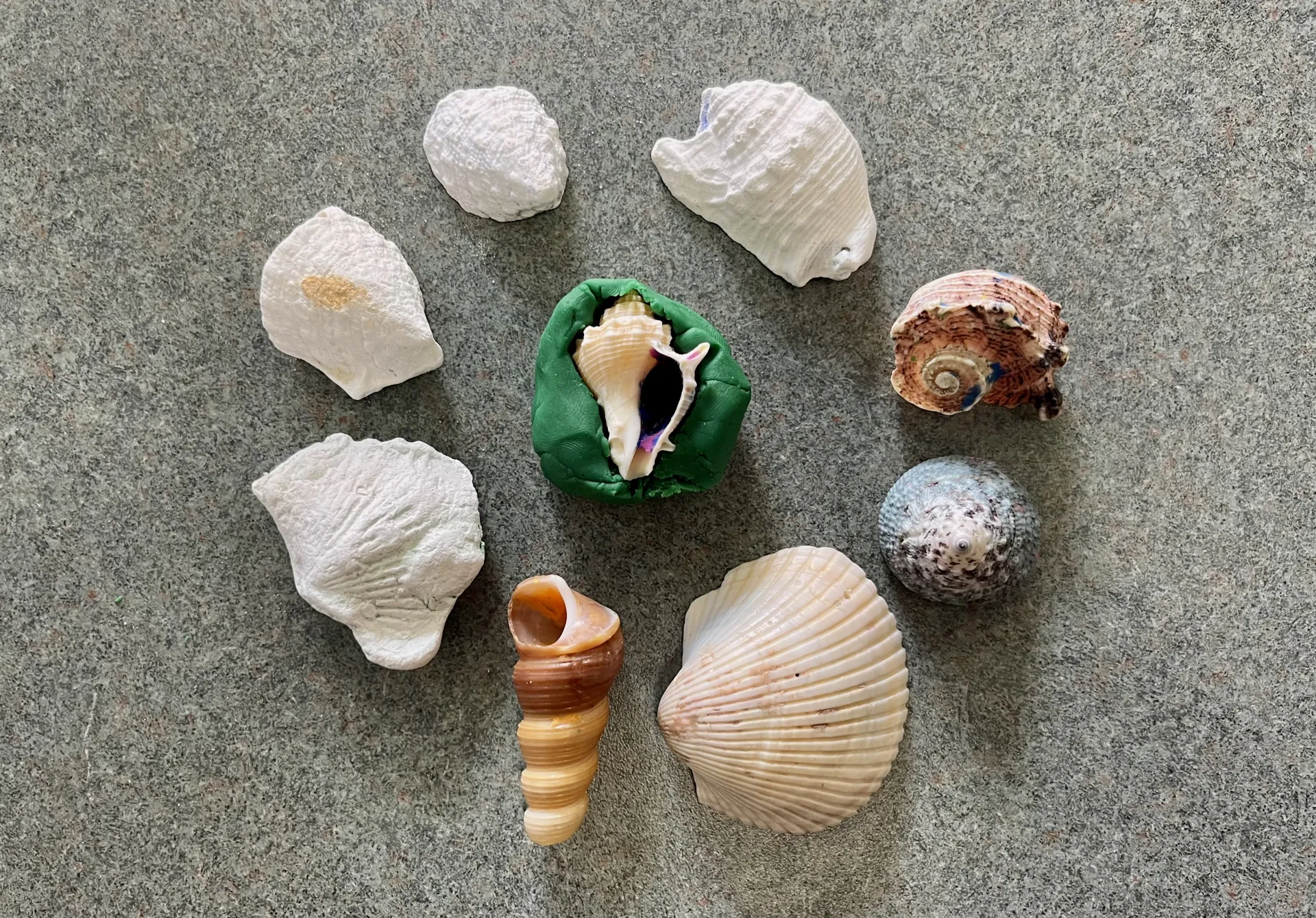 Making and Dating Fossils Geology Experiment
