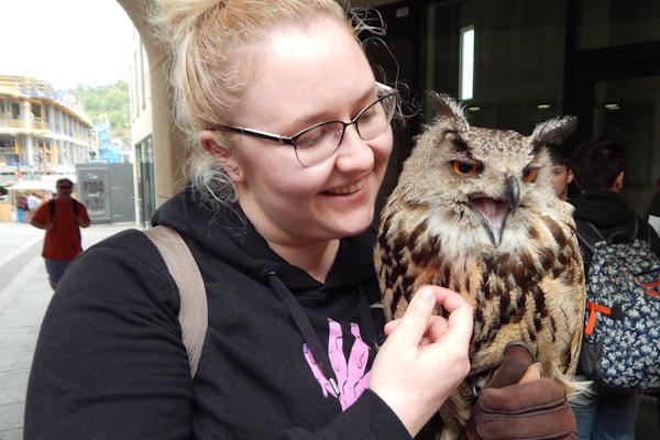 Photograph of Rebecca glove-training a Great Horned Owl