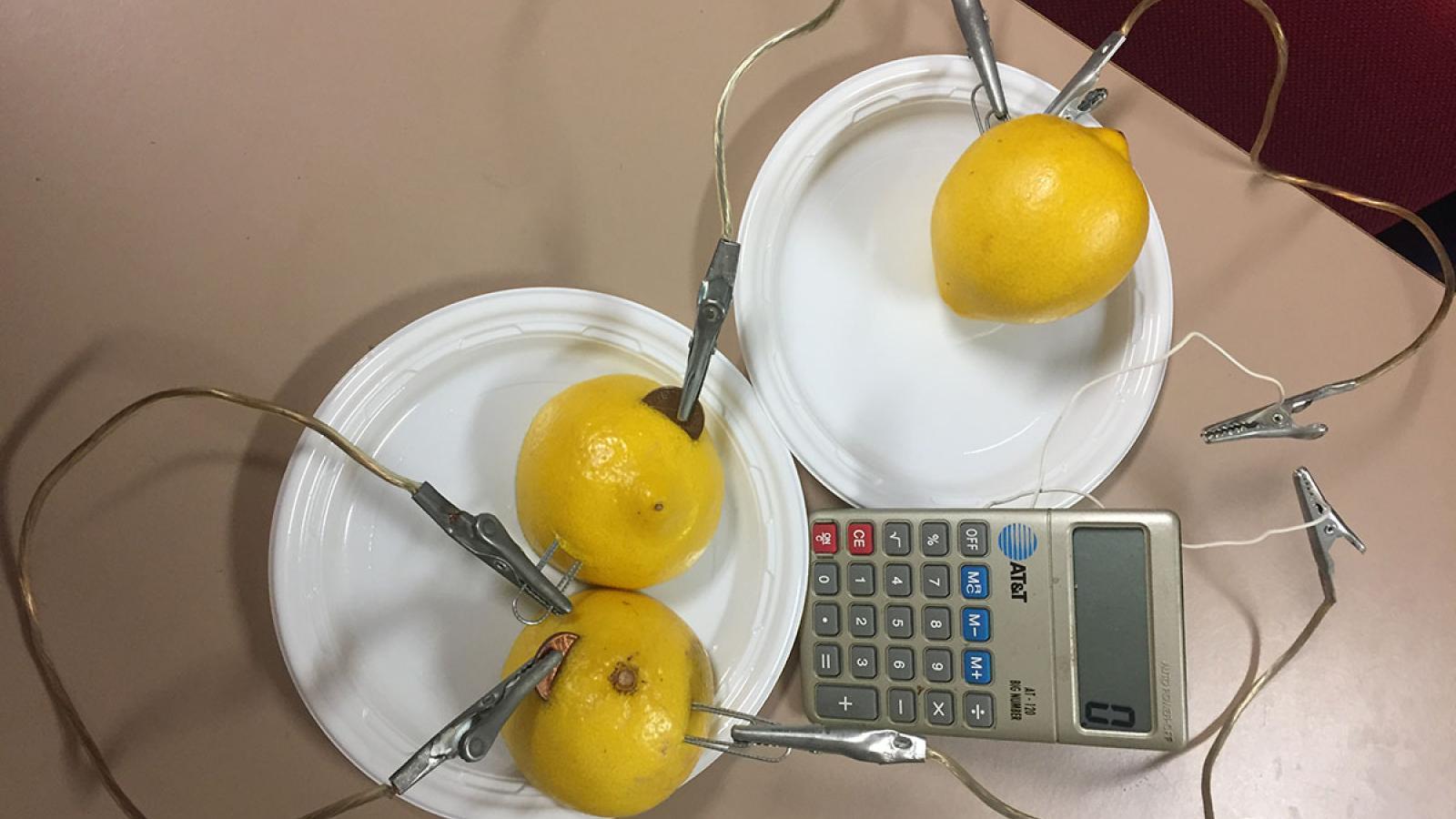 Photograph of a calculator being powered by lemons 